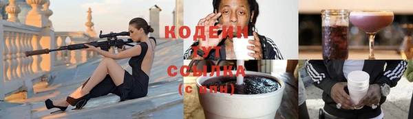 твердый Вяземский