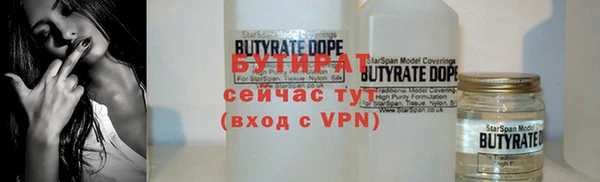 твердый Вяземский