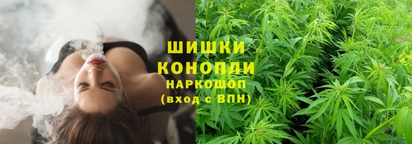 твердый Вяземский