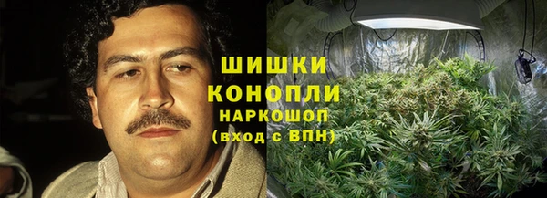 твердый Вяземский