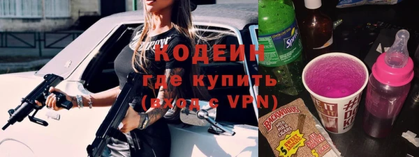 твердый Вяземский
