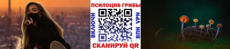 Купить  Козельск  Галлюциногенные грибы мухоморы 